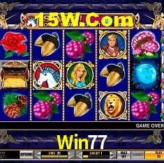 Estatísticas Win77